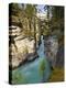 Athabasca Falls, Jasper National Park, Alberta, Canada-Larry Ditto-Premier Image Canvas