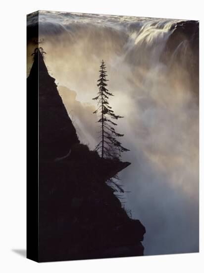 Athabasca Falls, Jasper National Park, Unesco World Heritage Site, Alberta, Canada-James Hager-Premier Image Canvas