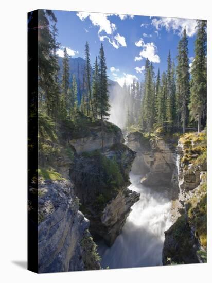 Athabasca Falls Waterfall, Jasper National Park, Alberta, Canada-Michele Falzone-Premier Image Canvas