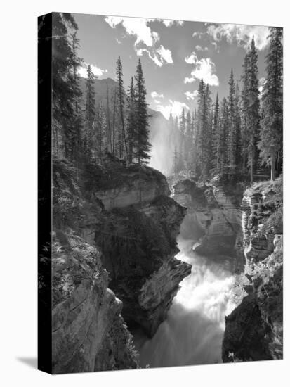 Athabasca Falls Waterfall, Jasper National Park, Alberta, Canada-Michele Falzone-Premier Image Canvas