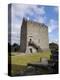 Athenry Castle, County Galway, Connacht, Republic of Ireland-Gary Cook-Premier Image Canvas