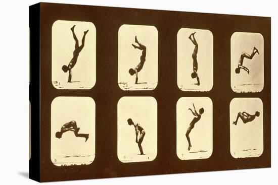 Athletes. Irregular from 'Animal Locomotion' Series, C.1881-Eadweard Muybridge-Premier Image Canvas