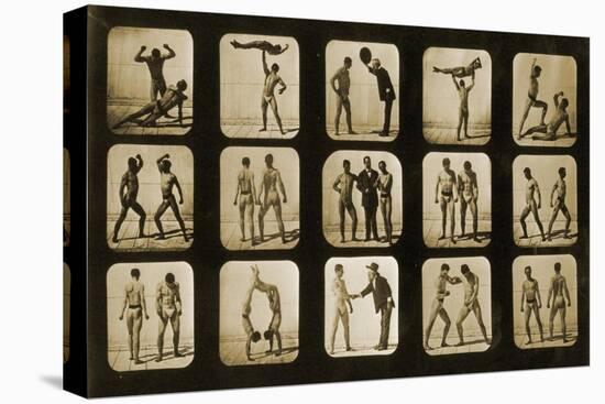 Athletes Posturing, from the 'Animal Locomotion' Series, C.1881-Eadweard Muybridge-Premier Image Canvas