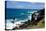 Atlantic Coast, St. Kitts, St. Kitts and Nevis-Robert Harding-Premier Image Canvas