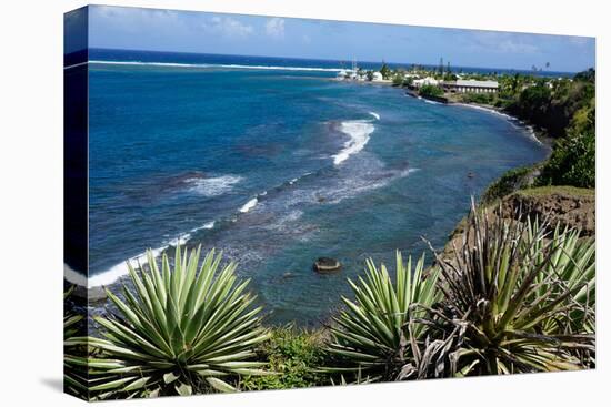 Atlantic Coast, St. Kitts, St. Kitts and Nevis-Robert Harding-Premier Image Canvas