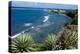 Atlantic Coast, St. Kitts, St. Kitts and Nevis-Robert Harding-Premier Image Canvas