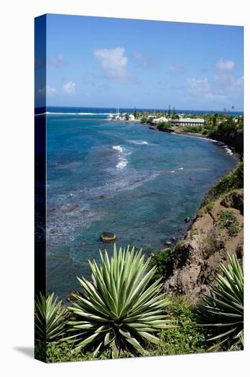 Atlantic Coast, St. Kitts, St. Kitts and Nevis-Robert Harding-Premier Image Canvas