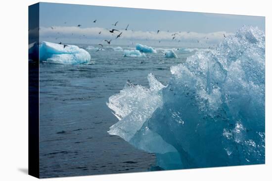 Atlantic Coast with Iceberg Remains at the Jškulsarlon-Catharina Lux-Premier Image Canvas