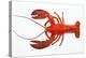 Atlantic Lobster-David Nunuk-Premier Image Canvas