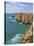 Atlantic Ocean and Cliffs on the Cape St. Vincent Peninsula, Sagres, Algarve, Portugal, Europe-Neale Clarke-Premier Image Canvas