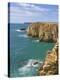 Atlantic Ocean and Cliffs on the Cape St. Vincent Peninsula, Sagres, Algarve, Portugal, Europe-Neale Clarke-Premier Image Canvas