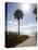 Atlantic Ocean, Miami Beach, Florida, USA-Angelo Cavalli-Premier Image Canvas