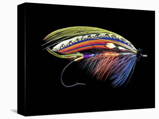 Atlantic Salmon Fly designs 'Graham's Fancy'-Darrell Gulin-Premier Image Canvas