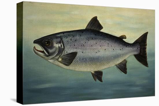 Atlantic Salmon-Porter Design-Premier Image Canvas