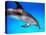 Atlantic Spotted Dolphin-Bill Varie-Premier Image Canvas