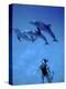 Atlantic Spotted Dolphins, Bimini, Bahamas-Greg Johnston-Premier Image Canvas