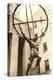 Atlas Statue, Rockefeller Center, New York City-null-Stretched Canvas