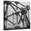 Atomium, Symbol of Brussels World's Fair-Michael Rougier-Premier Image Canvas