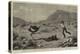 Attacked by an Ostrich, an Incident on a Farm at the Cape of Good Hope-null-Premier Image Canvas