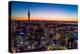 Auckland, New Zealand. The Auckland Skytower and harbor at night.-Micah Wright-Premier Image Canvas