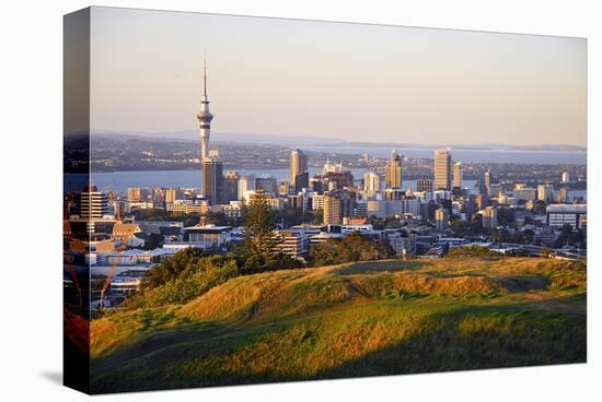 Auckland New Zealand-null-Stretched Canvas