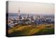 Auckland New Zealand-null-Stretched Canvas