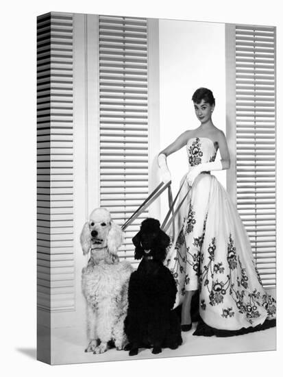 Audrey Hepburn, Sabrina, 1954-null-Premier Image Canvas