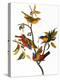 Audubon: Bunting, 1827-John James Audubon-Premier Image Canvas