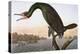 Audubon: Cormorant-John James Audubon-Premier Image Canvas