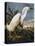 Audubon: Egret-John James Audubon-Premier Image Canvas