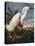 Audubon: Egret-John James Audubon-Premier Image Canvas