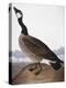 Audubon: Goose, 1827-John James Audubon-Premier Image Canvas