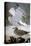 Audubon: Gull-John James Audubon-Premier Image Canvas
