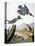 Audubon: Kingfisher, 1827-John James Audubon-Premier Image Canvas