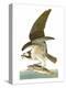 Audubon: Osprey-John James Audubon-Premier Image Canvas