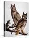 Audubon: Owl-John James Audubon-Premier Image Canvas