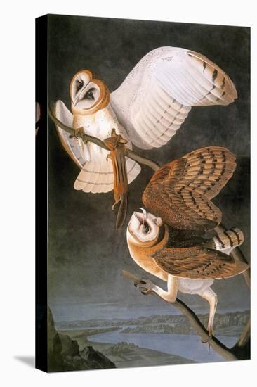 Audubon: Owl-John James Audubon-Premier Image Canvas