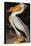 Audubon: Pelican-John James Audubon-Premier Image Canvas