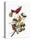 Audubon: Tanager-John James Audubon-Premier Image Canvas