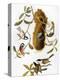 Audubon: Titmouse-John James Audubon-Premier Image Canvas