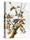 Audubon: Woodpecker, 1827-John James Audubon-Premier Image Canvas