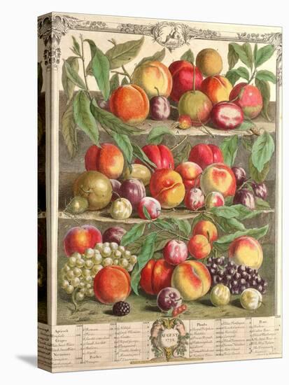 August, from 'Twelve Months of Fruits', by Robert Furber (C.1674-1756) Engraved by C. Du Bose, 1732-Pieter Casteels-Premier Image Canvas