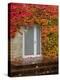 Augustine Door and Ivy-George Johnson-Premier Image Canvas