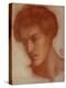 Augustus Howell, 1867 (Red Chalk on Paper)-Dante Gabriel Rossetti-Premier Image Canvas