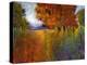 Aura Of Fall I-Michael Tienhaara-Stretched Canvas