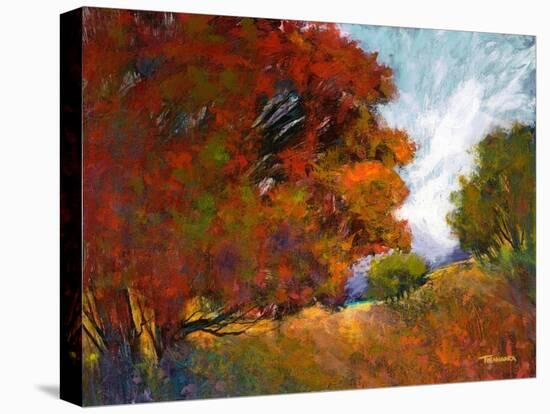 Aura Of Fall II-Michael Tienhaara-Stretched Canvas