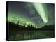 Aurora Borealis, Alaska, USA-Hugh Rose-Premier Image Canvas