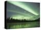 Aurora Borealis, Alaska, USA-Hugh Rose-Premier Image Canvas