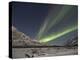 Aurora Borealis, Arctic National Wildlife Refuge, Alaska, USA-Hugh Rose-Premier Image Canvas