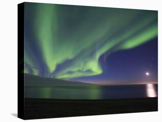 Aurora Borealis, Arctic National Wildlife Refuge, Alaska, USA-Hugh Rose-Premier Image Canvas